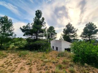 Residential Plot in Masroig (El)