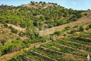 Terreny residencial a Porrera