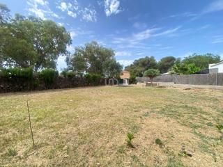 Residential Plot in Nou Vendrell