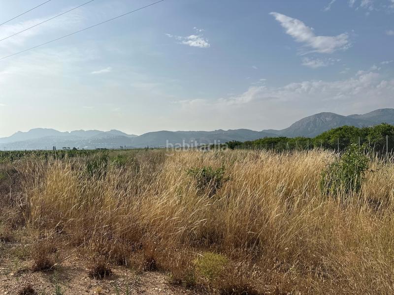 Foto d9f25868-7bcc-4777-987f-e7b5d365efe9. Terreno residencial en Pego