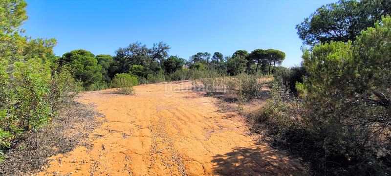 Foto 1c5a1152-8323-4f6d-94a1-6303bee99fe6. Terreno residencial en Villablanca