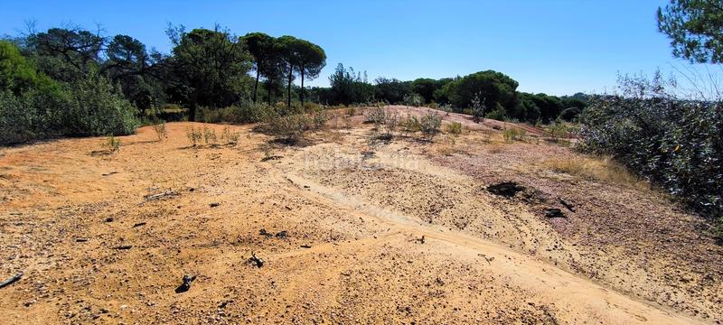 Foto 2b108b48-f595-491b-b5f2-8bcb29684fc1. Terreno residencial en Villablanca