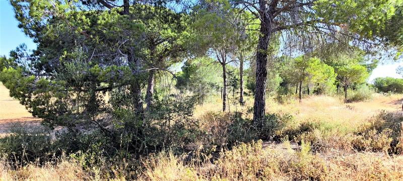 Foto 671c40cc-7d19-4225-be27-258226a6c293. Terreno residencial en Villablanca