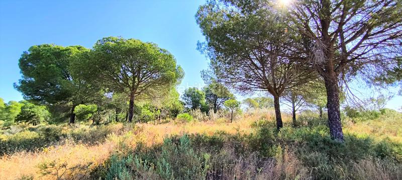 Foto 83084565-ab2b-4f32-bcef-a247793c5cbf. Terreno residencial en Villablanca