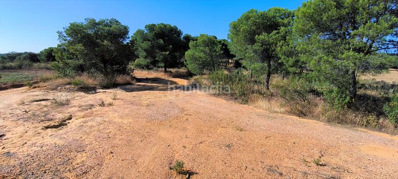 Foto babd9138-cf95-497c-9464-b08130d39c92. Terreno residencial en Villablanca