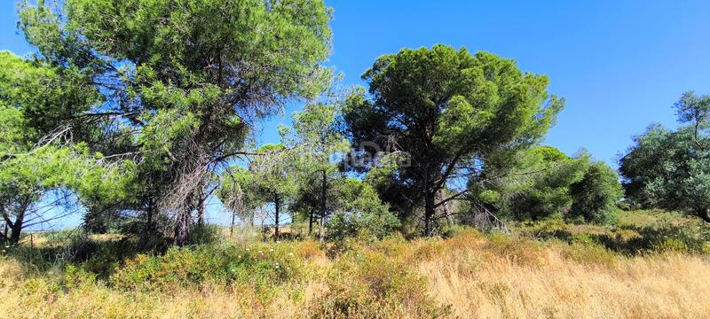 Foto db3c18bc-f9d5-42c6-9dfd-e1f558d24111. Terreno residencial en Villablanca