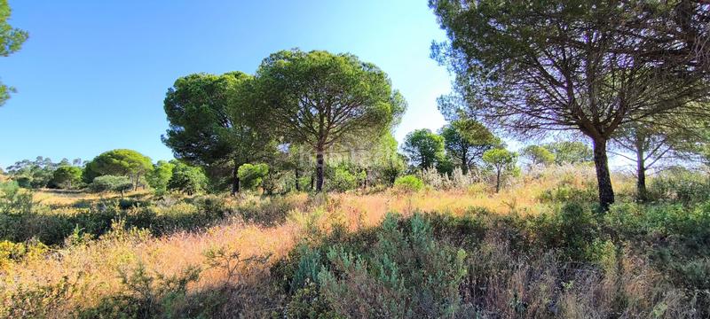 Foto eccaf205-401f-44ac-8003-37a63c19e000. Terreno residencial en Villablanca