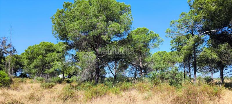 Foto fb9b66e5-c511-4fdc-88cf-0418038550af. Terreno residencial en Villablanca