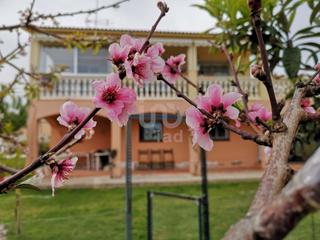 Casa a Els Masos - Els Garrofers