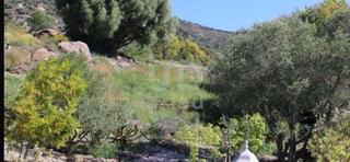 Terreny residencial a Palau-saverdera