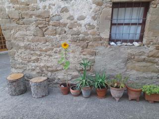 Casa a Monistrol de Calders