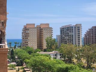 Pis a Avenida central 38