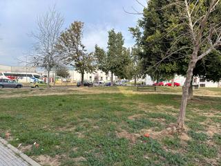 Business premise in Cartaya