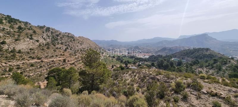 Foto 03672c64-1a5e-48cb-a8ef-bbf65162cc5b. Terreno residencial en partida segorb en Xixona