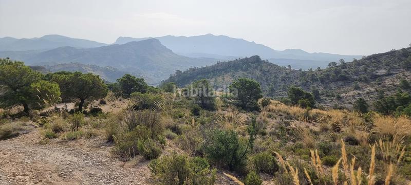 Foto 05bf3764-6e69-457e-8a84-ac8c73d1d5dc. Terreno residencial en partida segorb en Xixona