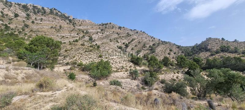 Foto 2b083aeb-f4f8-43fc-9caf-333622cdbfb9. Terreno residencial en partida segorb en Xixona