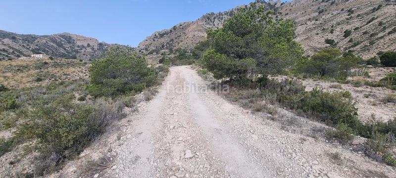 Foto 2fafbe26-9a36-415f-a8c6-56eb1af47554. Terreno residencial en partida segorb en Xixona