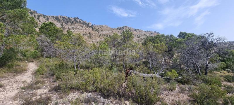 Foto 51554b28-b540-4f27-ad3c-459ad8d2eab5. Terreno residencial en partida segorb en Xixona