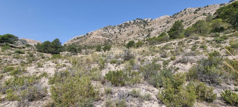 Foto 516381e5-09f7-40c0-96a8-42a37eccd574. Terreno residencial en partida segorb en Xixona