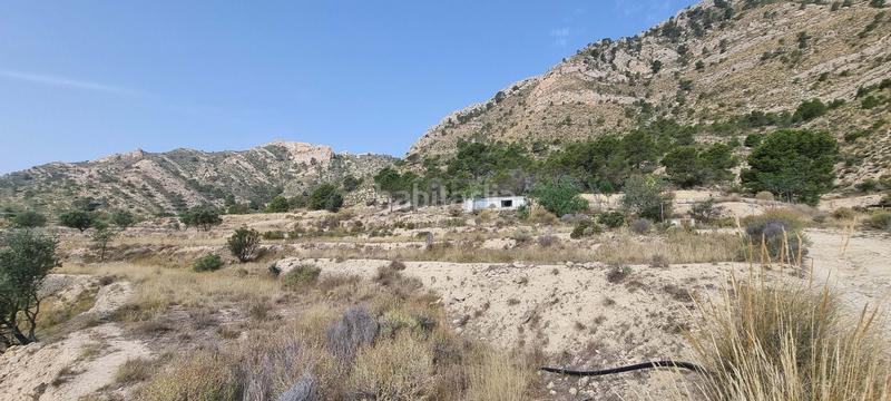 Foto 5c94d75b-796e-41ff-adfa-c9d42c94e360. Terreno residencial en partida segorb en Xixona