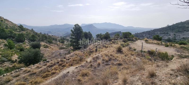 Foto 7fe96af4-3a33-48e8-bc19-4b32c34bb53a. Terreno residencial en partida segorb en Xixona