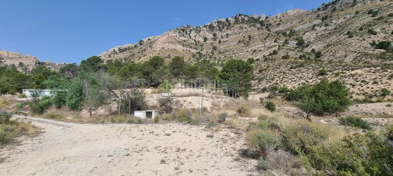 Foto 8135ce8b-82aa-4af9-b3cd-b61743e17bd5. Terreno residencial en partida segorb en Xixona