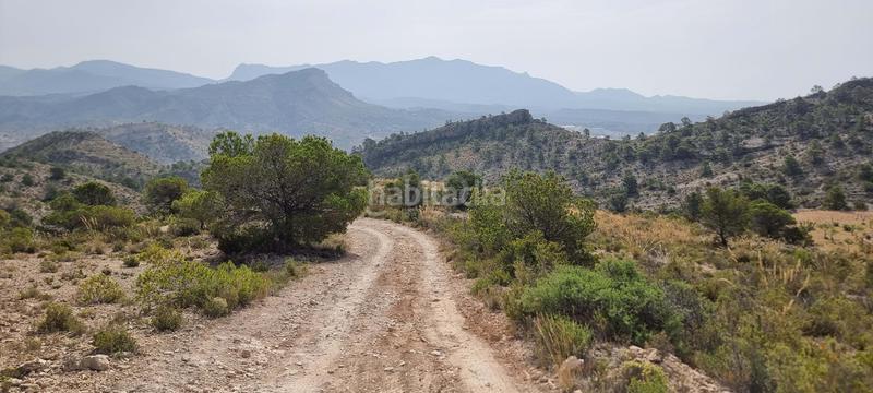 Foto 8866ebb6-0d2e-46f4-82d0-f21f57e801c6. Terreno residencial en partida segorb en Xixona