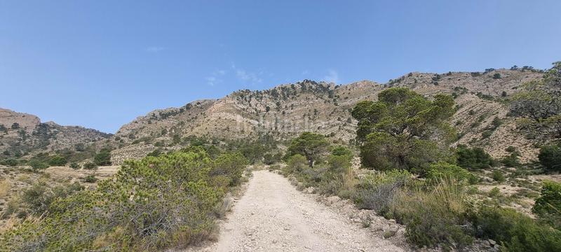 Foto 972d21f4-f377-4ad2-9c3a-ba328c6ac2da. Terreno residencial en partida segorb en Xixona