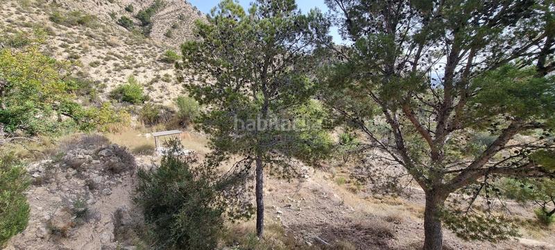 Foto 981c0668-c0cb-4bfe-8089-54f833e0142e. Terreno residencial en partida segorb en Xixona