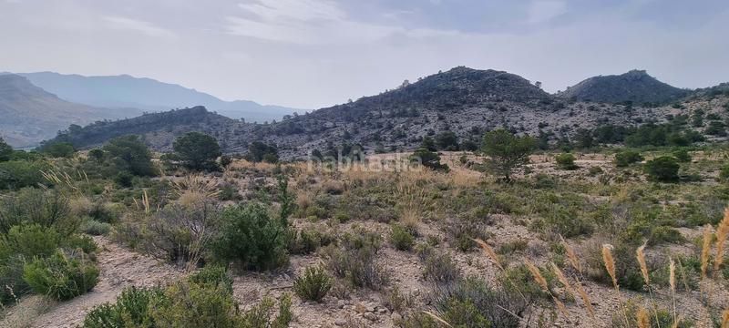 Foto 9d0d636a-06d8-480c-9c21-b2943307b993. Terreno residencial en partida segorb en Xixona