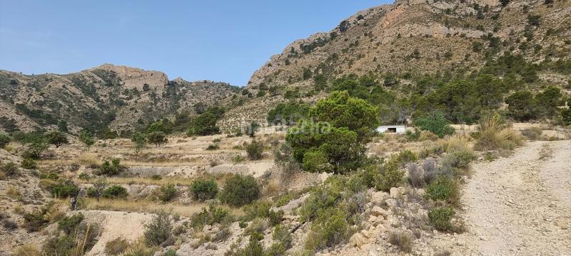 Foto bae60cbe-d961-4b4a-8885-37c139e61027. Terreno residencial en partida segorb en Xixona