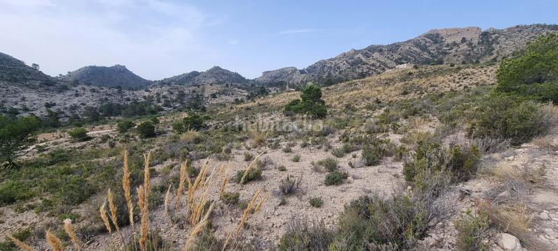 Foto d2bd31bd-0621-49f7-b80e-52b7cb2db550. Terreno residencial en partida segorb en Xixona