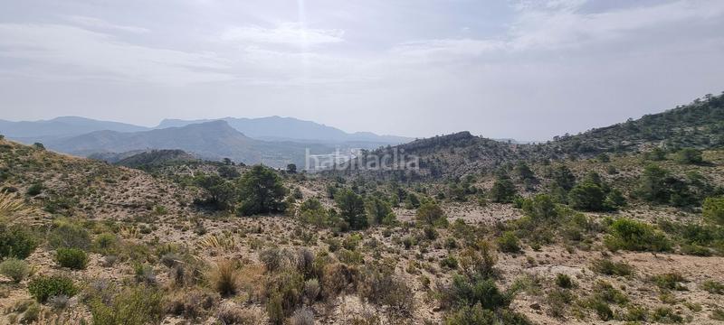 Foto d7c581dc-a572-4cf7-86a7-40e27d86acba. Terreno residencial en partida segorb en Xixona