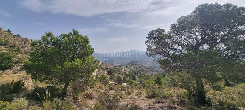 Foto ee873719-f0a0-4dc5-abbe-e7cb9c4e1d61. Terreno residencial en partida segorb en Xixona