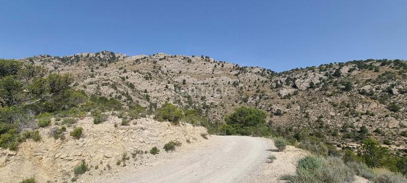 Foto f642ff91-463d-43f5-aa29-bb2a2afb4da3. Terreno residencial en partida segorb en Xixona