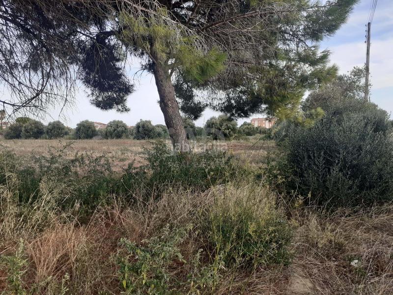 Foto 28b8a01e-f3aa-4f8c-aadf-9ac99b3b9a7b. Terreno residencial en Port - Horta de Santa Maria Cambrils