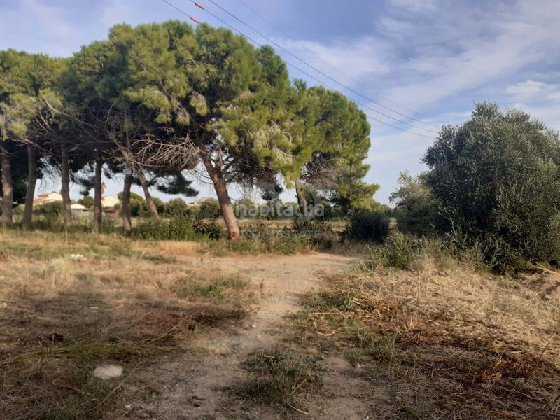 Foto 33de299b-c67e-49b2-b0db-400686190f66. Terreno residencial en Port - Horta de Santa Maria Cambrils