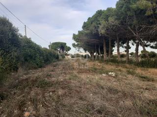 Terreny residencial a Port - Horta de Santa Maria