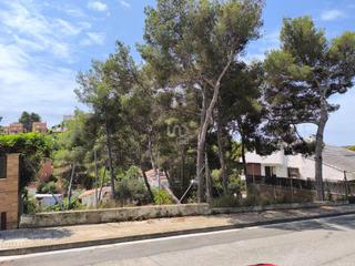 Residential Plot in La Mora
