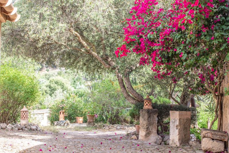 Foto c61b49cd-16b9-4c5d-98af-3a358660f5c9. Casa a camí de son simó 10 a Andratx Andratx