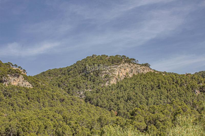 Foto f2b2df59-98f6-4614-a9e0-5c01fa2b0702. Casa a camí de son simó 10 a Andratx Andratx