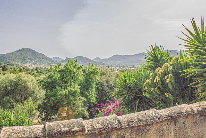 Foto 84aebd86-5ac1-4f80-a7d8-1da7c2c8eda2. Haus in camí de son simó 10 in Andratx Andratx