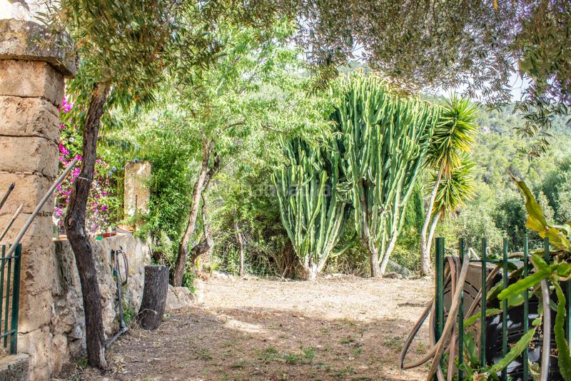 Foto 24b6e24e-8c7f-4966-88ea-96fc573cc3f1. House in camí de son simó 10 in Andratx Andratx