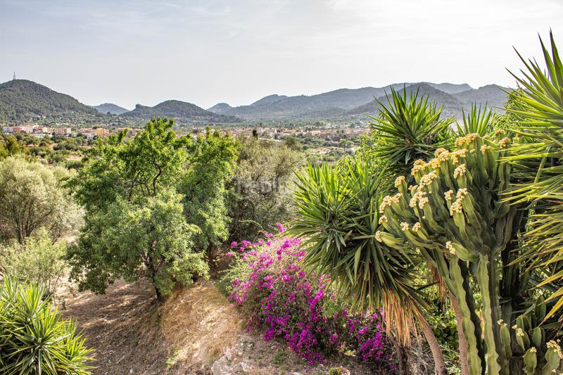 Foto 7b7658e3-271f-4f10-a819-ac1d4d395be7. House in camí de son simó 10 in Andratx Andratx