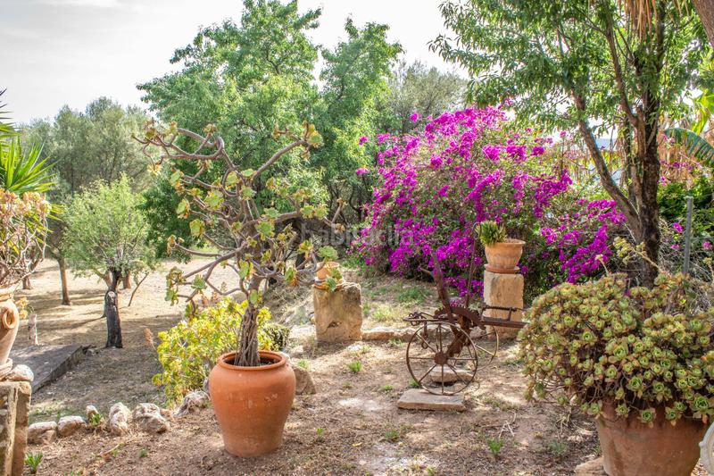 Foto a9a79a05-9daa-4387-9833-85e2fc7810c3. House in camí de son simó 10 in Andratx Andratx