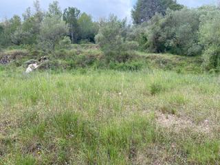 Wohngrundstück in Castellvell del Camp