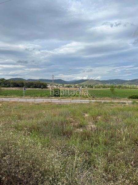 Foto 9b65882e-fdb5-4577-807d-dbb4c94e4df7. Residential plot in Puig Moltó - Can Macià Sant Pere de Ribes