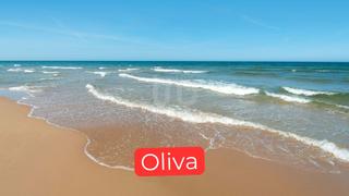 Pis a Oliva Pueblo