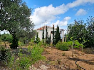 Maison à Avinguda Catalunya