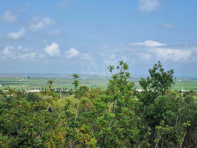 Foto fc3a8b15-a371-47b8-ab34-18ed74cf1850. Casa con piscina in Avinguda Catalunya Sant Carles de la Ràpita